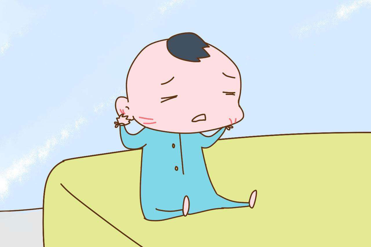 浔郁春光好 田间育苗忙