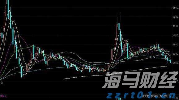 全程网办“不打烊”！保障上海开办企业“不断档”